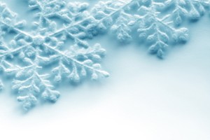 a winter celebration
