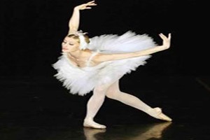 a_swan_lake