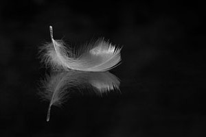 angels among us